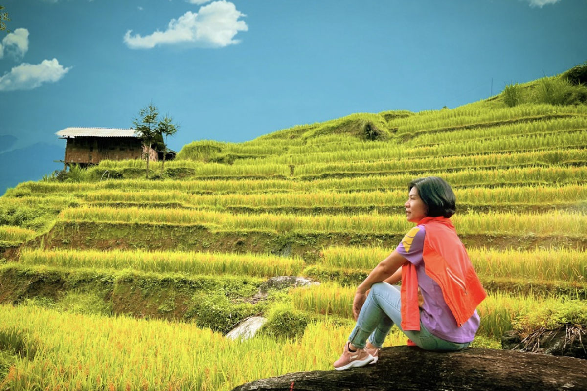 Golden Lung Cu rice fields 